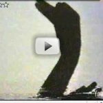 Sensacionais V�deos de Sombras com as M�os