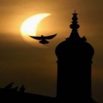 O Eclipse do S�culo