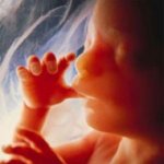 Comercial de Cl�nica de Aborto Choca