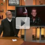 Mel Gibson Chama Apresentador de Idiota