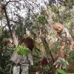 A Ilha das Bonecas