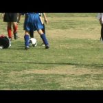 Ou a Bola ou o Jogador