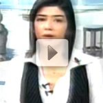 Barata Cascuda Pousa na Apresentadora ao Vivo