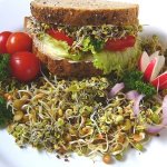 O que é Dieta Metabólica? O que é Dieta Metabólica?