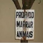 Placas pelo Brasil Placas pelo Brasil