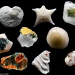 Um Mundo de Cores Revelado em Grãos de Areia