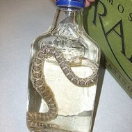 Vodka com Cobra