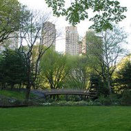 Impressões Sobre o Central Park