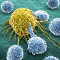 Imunoterapia Contra o Câncer Pode Virar Realidade