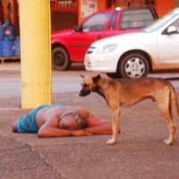 Cachorro Vigia Seu Dono Dormindo na Calçada