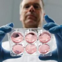 Cientistas Criam Tecido CardÃ­aco com CÃ©lulas da Pele