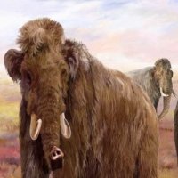 A Vida de Mamutes e Mastodontes na Era do Gelo