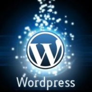 Os Melhores Plugins para Utilizar o WordPress