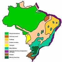 Ecossistemas Brasileiros