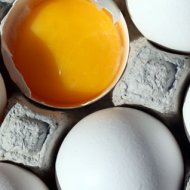 Ovos Podres Curam a Impotência?