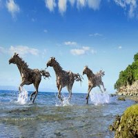 Esculturas de Cavalos com Detritos de Troncos de Madeira