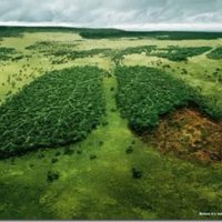 18 Propagandas Incríveis Sobre o Meio Ambiente