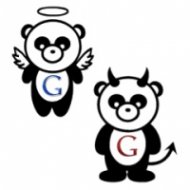 Você Tem Medo do Google Panda?