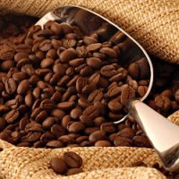 Cafeína Melhorou Sintomas da Doença de Parkinson