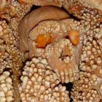 Esqueleto de Neandertal Ã© Encontrado Por Cientistas