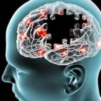 Novo Estudo Revela Principal Culpado da Doença de Alzheimer