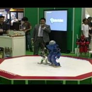 Luta de Robôs no Japão
