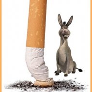 Cigarro Pode Indicar Q.I. Baixo