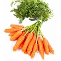 Nutrientes da Cenoura