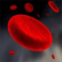 Sintomas e Tratamento da Anemia