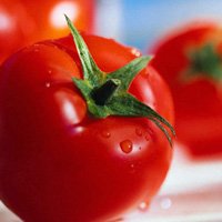 Propriedades Nutritivas do Tomate