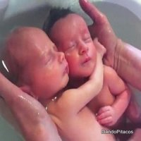 Vídeo de Gêmeos Recém-Nascidos Acordando Bomba na Internet
