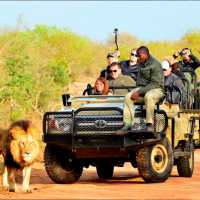 Safari e Hospedagem no Kapama: Dentro do Kruger na África do Sul