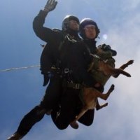 Cão Paraquedista Realiza Salto Livre Pela Primeira Vez