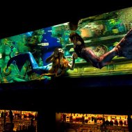Bar na Califórnia Conta com 'Sereias' como Atração