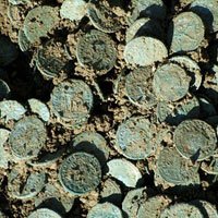 Arqueólogos Descobrem Moedas de Bronze de Roma Antiga na França