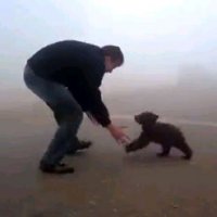 Homem Brinca com Filhote de Urso