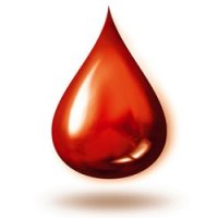 Dar Sangue - Tudo o que Precisa de Saber Para Salvar Vidas