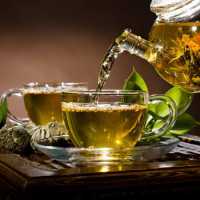 O Chá Verde Ajuda a Manter o Peso?