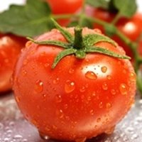 Benefícios do Tomate Vermelho