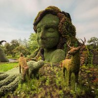 Espetaculares Esculturas Vivas Feitas de Plantas