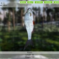Jogo Online: Pescaria