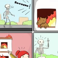 Esqueleto Salva Cachorro do Incêndio