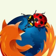 Menino de 12 Anos Descobre Bug no Firefox