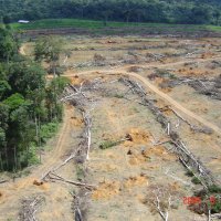 Desmatamento na Amazônia Cai 17% Entre 2011 e 2012