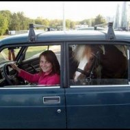Mulher se Casa com um Cavalo na AustrÃ¡lia