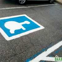 Estacionamentos Para Tartarugas