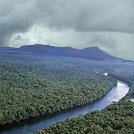 Floresta Amazônica: uma Fábrica de Chuva para o País