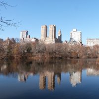 Guia Para o Central Park em Nova York: o que Fazer?
