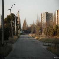 O que Aconteceu com os Animais da RegiÃ£o do Acidente Nuclear de Chernobyl?