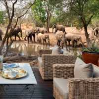 Top 15 Melhores Lodges Dentro do Kruger Park